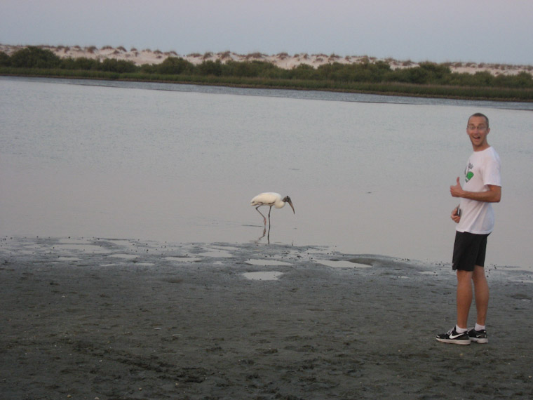 Nature Photography with Wood Stork in St Augustine Florida