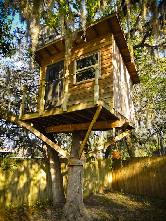 Picture of Treehouse in Sain Augustine Florida