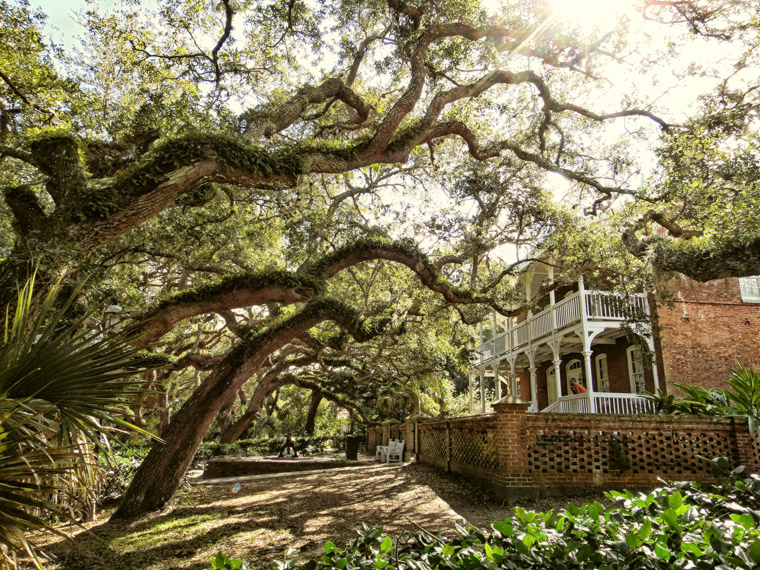 Lighthouse keeper's house live oaks