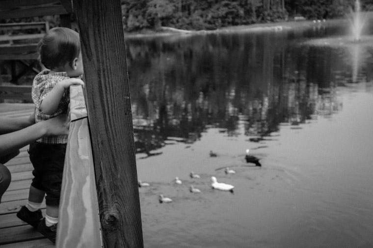 Treaty park duck pond boardwalk