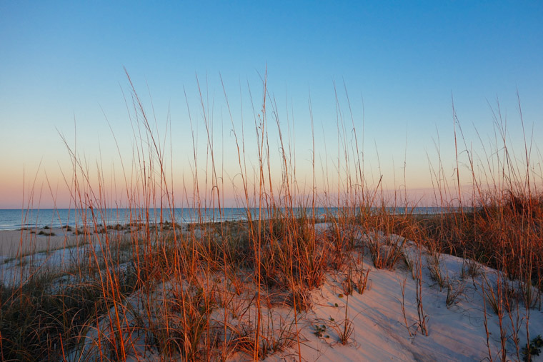 Sunset dunes at Anastasia State Park